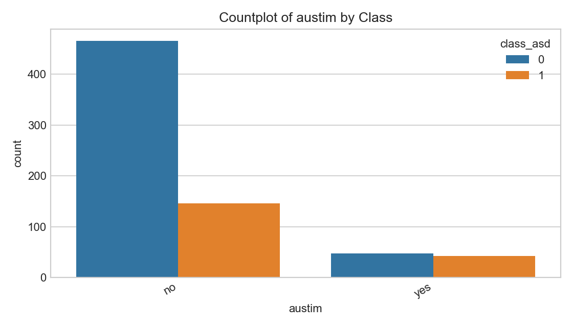 Austim Flag by Class