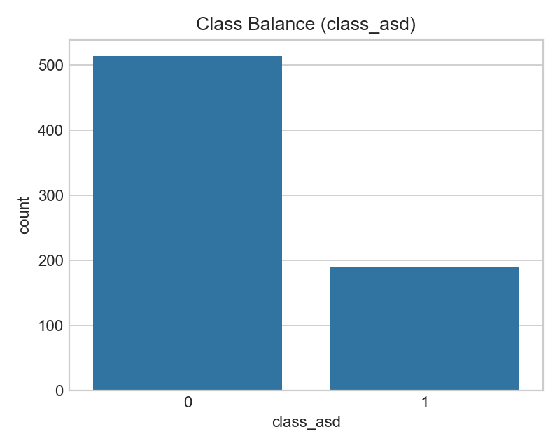 Class Balance